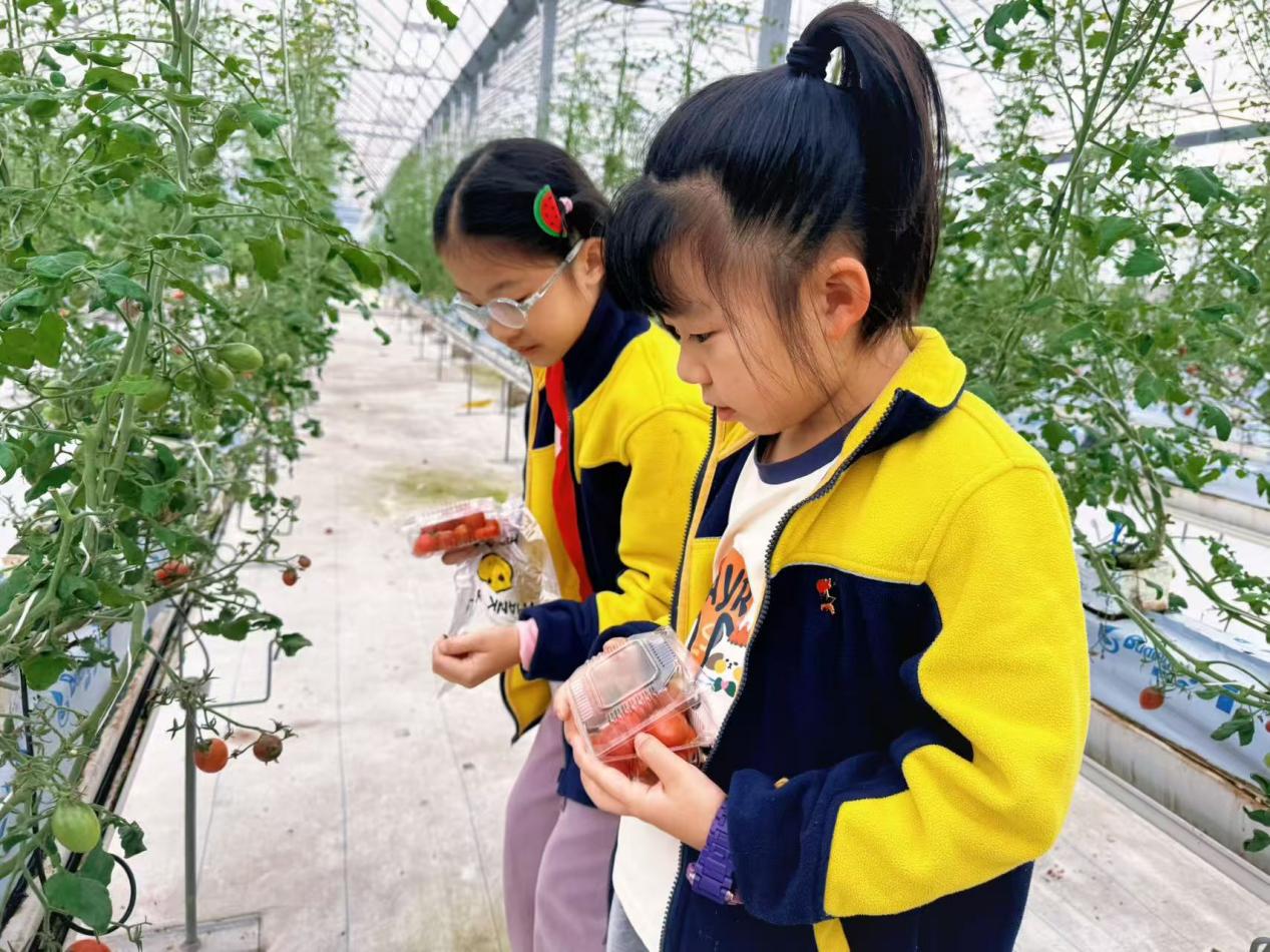 赴一场田园之约，做快乐小农夫——晓院附小三（2）班农耕体验活动2025.10(1)_html_f4aa0c5.jpg