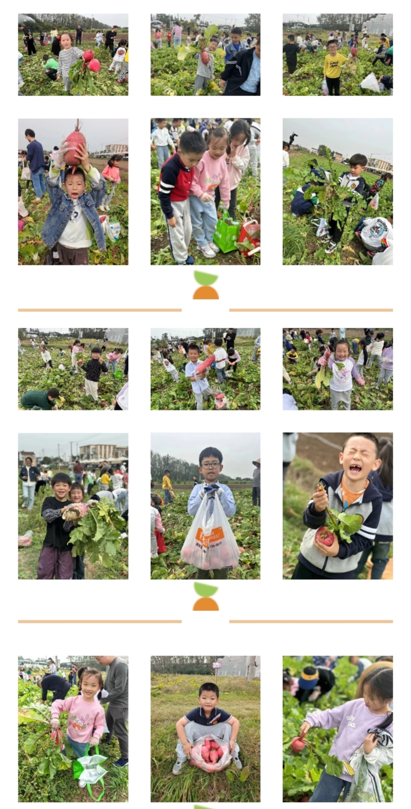 趣事一”萝“筐_html_m6ec03123.jpg
