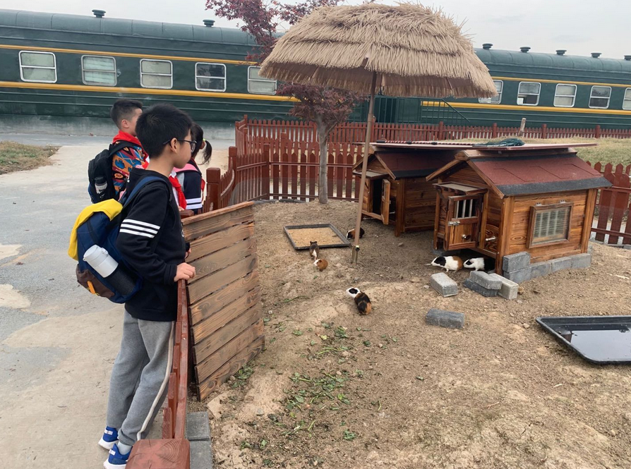 三（2）班11月新闻稿_html_m662211ba.png