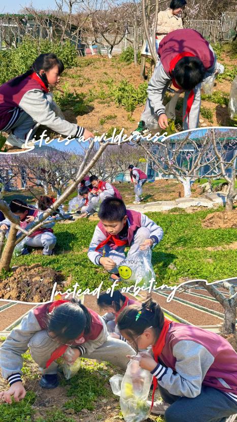 【丁香汉声·学生成长营】踏春学农，劳动润心_html_773e3470.jpg
