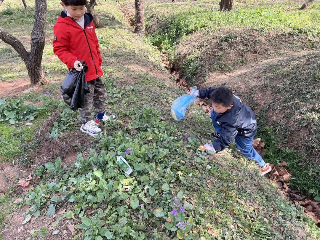 梅花山_html_359211bb.jpg
