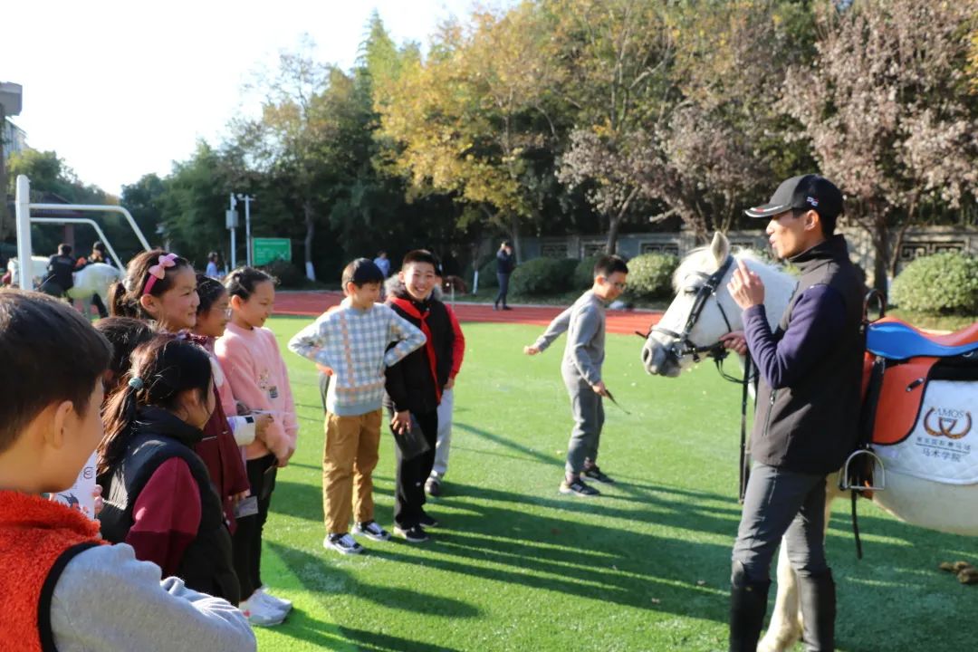 10.24马术_html_m6a513863.jpg