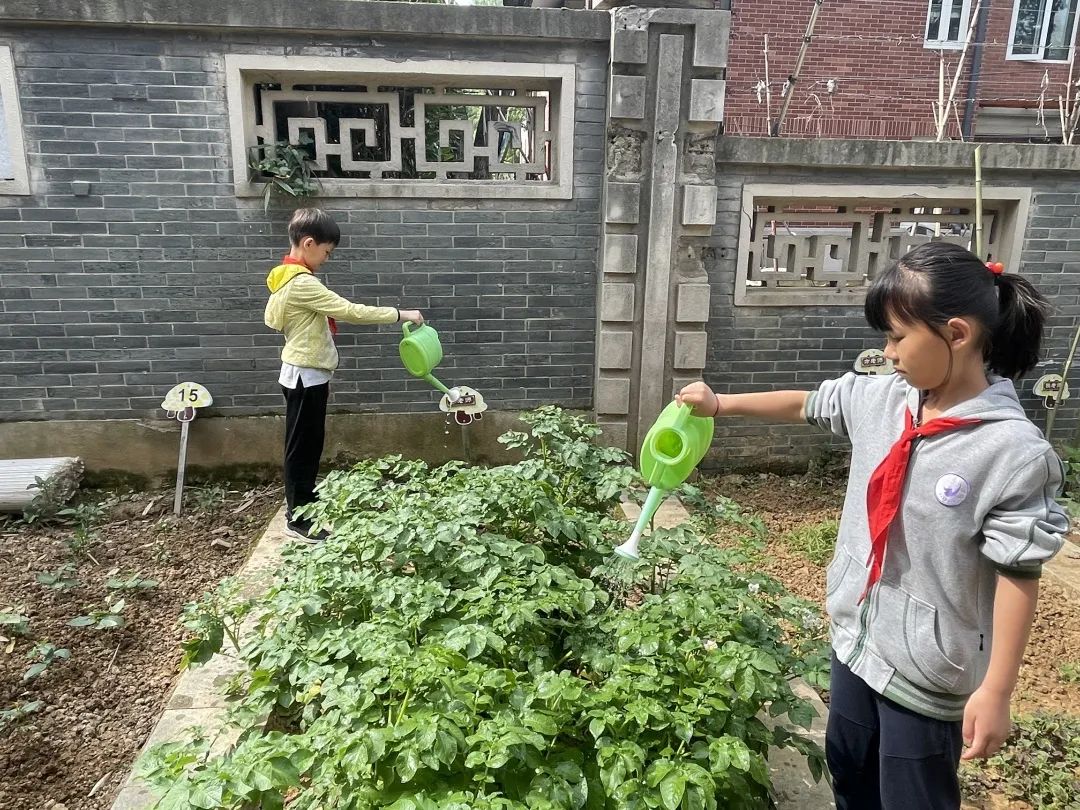 小满_html_378e8ffa.jpg