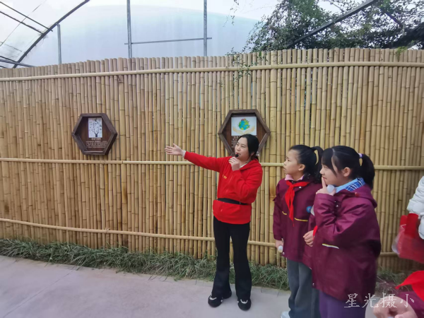 聆听专家讲堂，守护生态未来1.png
