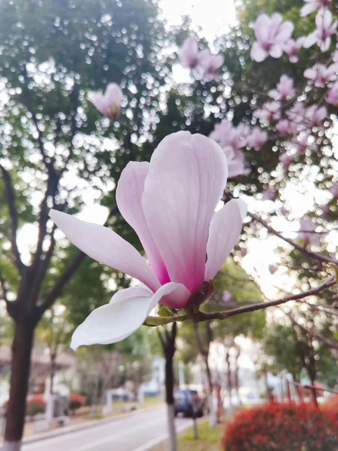 微信图片_20230401214330.jpg