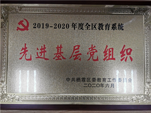 9.2020.6区教育系统先进基层党组织.jpg