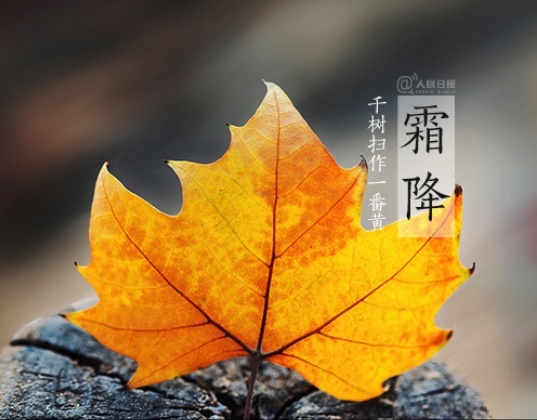 792912cc1bf449c6b2b7ee671b426f33-2.jpg