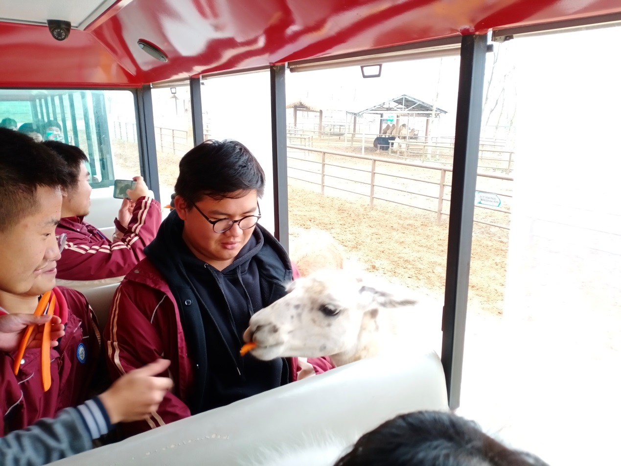 春游3.12_html_35685c5.jpg