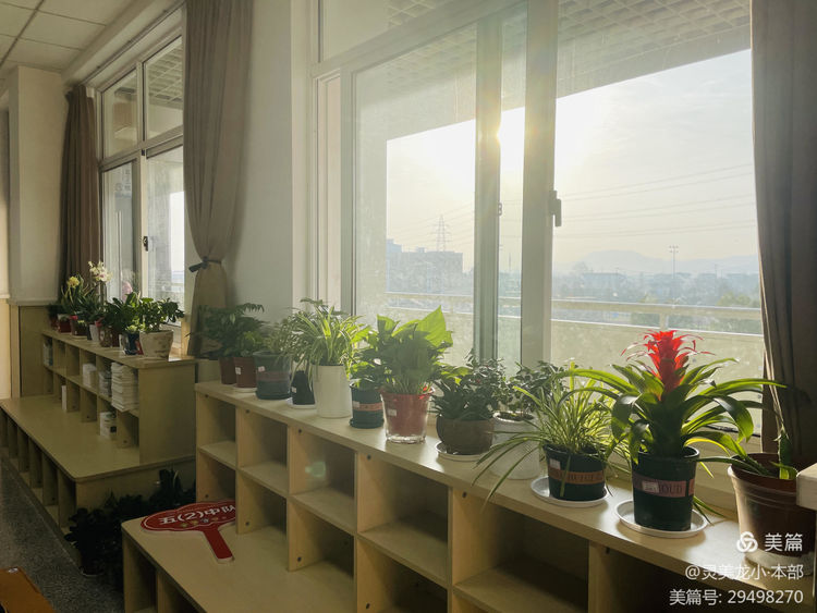 【灵美龙小·德育】春风十里，植此青绿——龙潭中心小学（本部）开展植树节系列活动_html_74a80c45.jpg