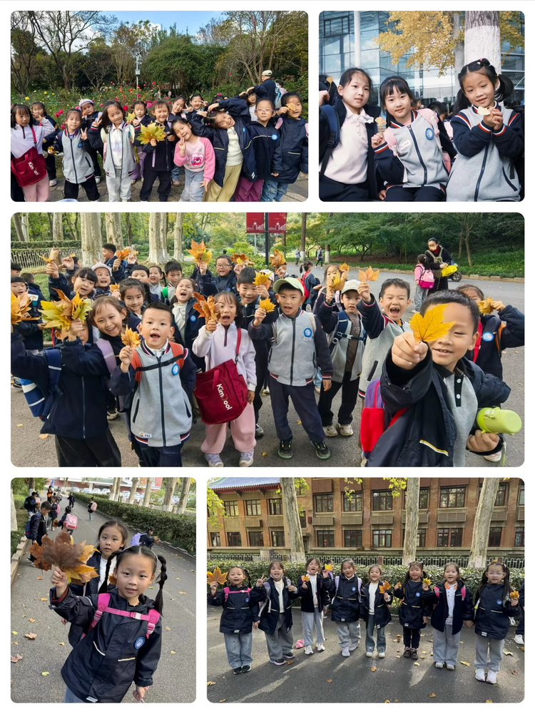 探秘植物王国 感受自然奇妙——龙潭中心小学开展2025年秋季社会实践活动_html_360ccf6.png