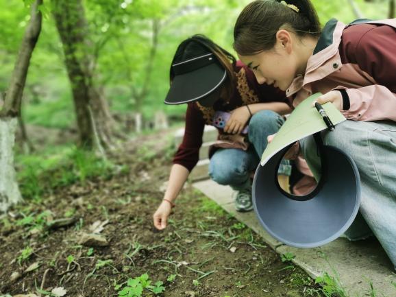 240411春时伊始 “研”正当时——栖幼五福园课程中心组教研活动（五）_html_m78dc0837.jpg