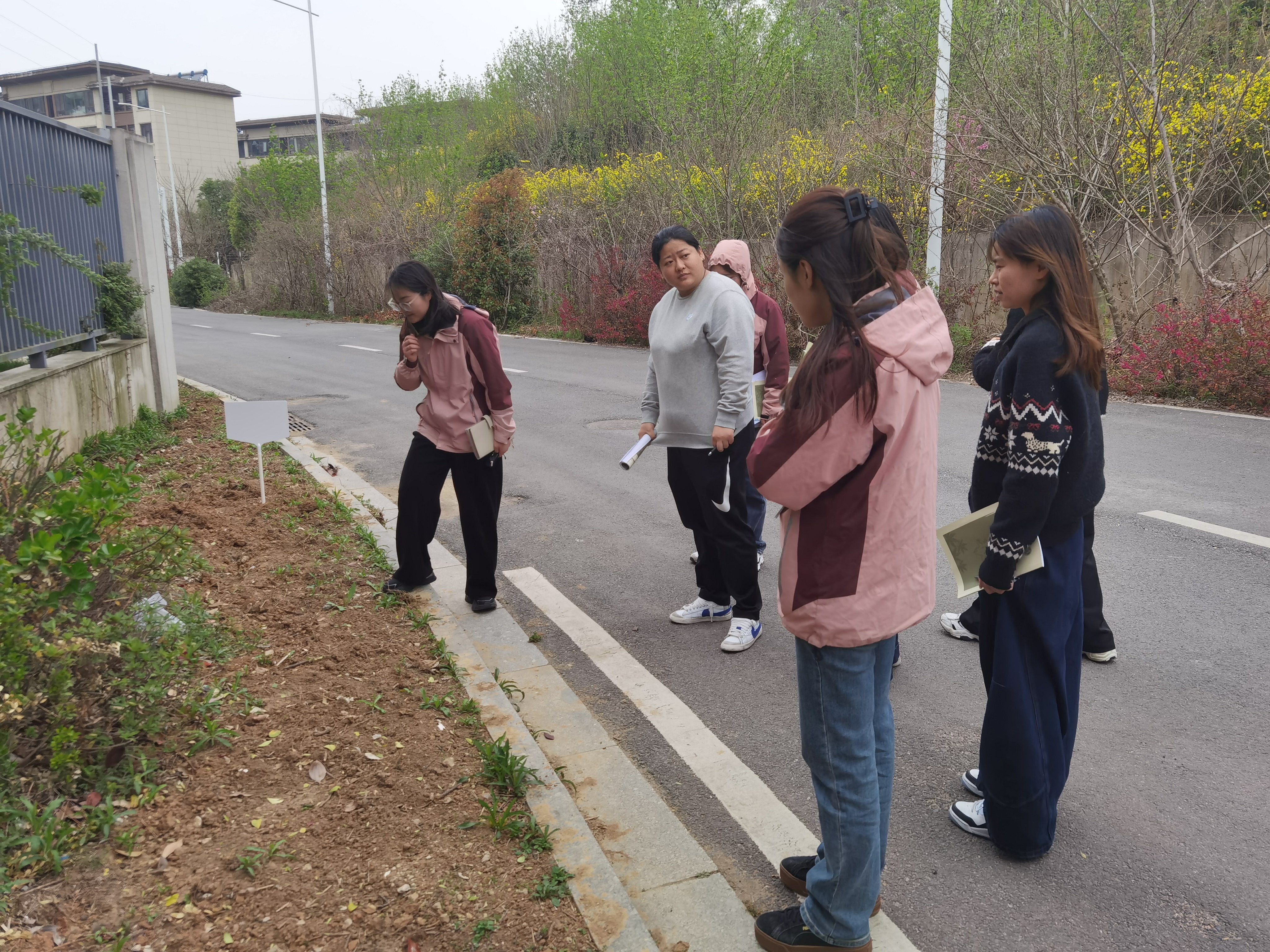 250327春日种植探奥秘，教研共研促成长——栖幼翡翠天域园科学教研组活动_html_m4aa72902.jpg