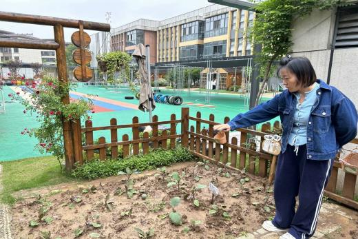 230505以研促教学思共长 栖霞幼儿园翡翠天域园科学领域教研组活动_html_m359a53ee.jpg