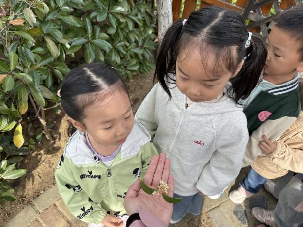 251120桂花飘香润童心 家园携手酿甜蜜——栖霞幼儿园石埠湾园师中班枫味膳食暨家长助教活动_html_6a113a83.jpg