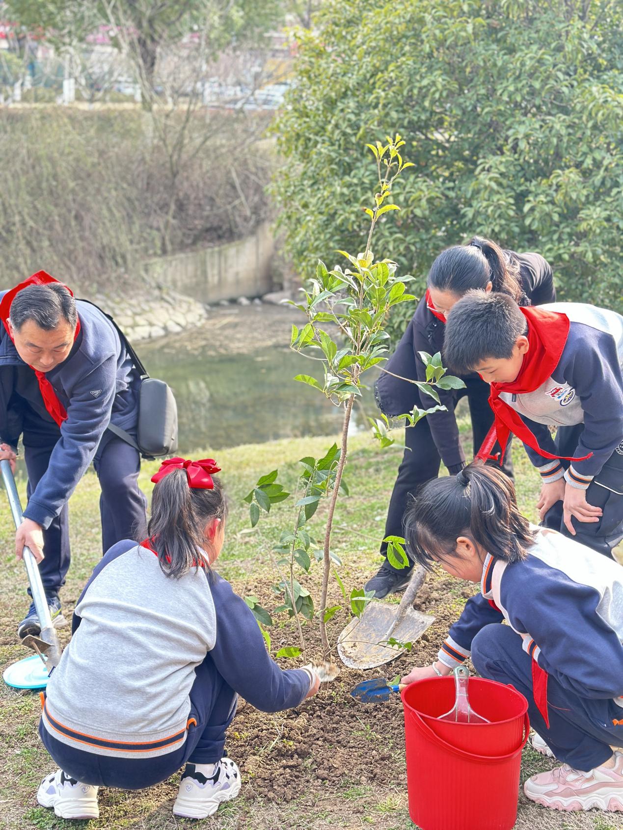 相约春天 共植希望——记金陵小学2024年植树节活动_html_47ee6eb0.jpg