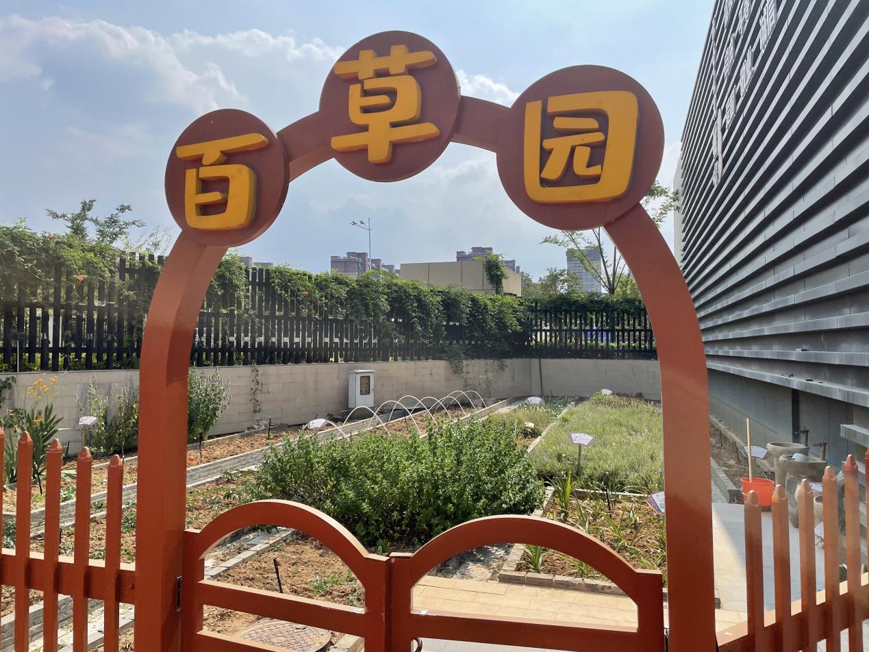 【广志特色教师】百草助力 艺趣无限-记金陵小学（广志路校区）特色教师赵晓萌_html_4ff47b82.jpg