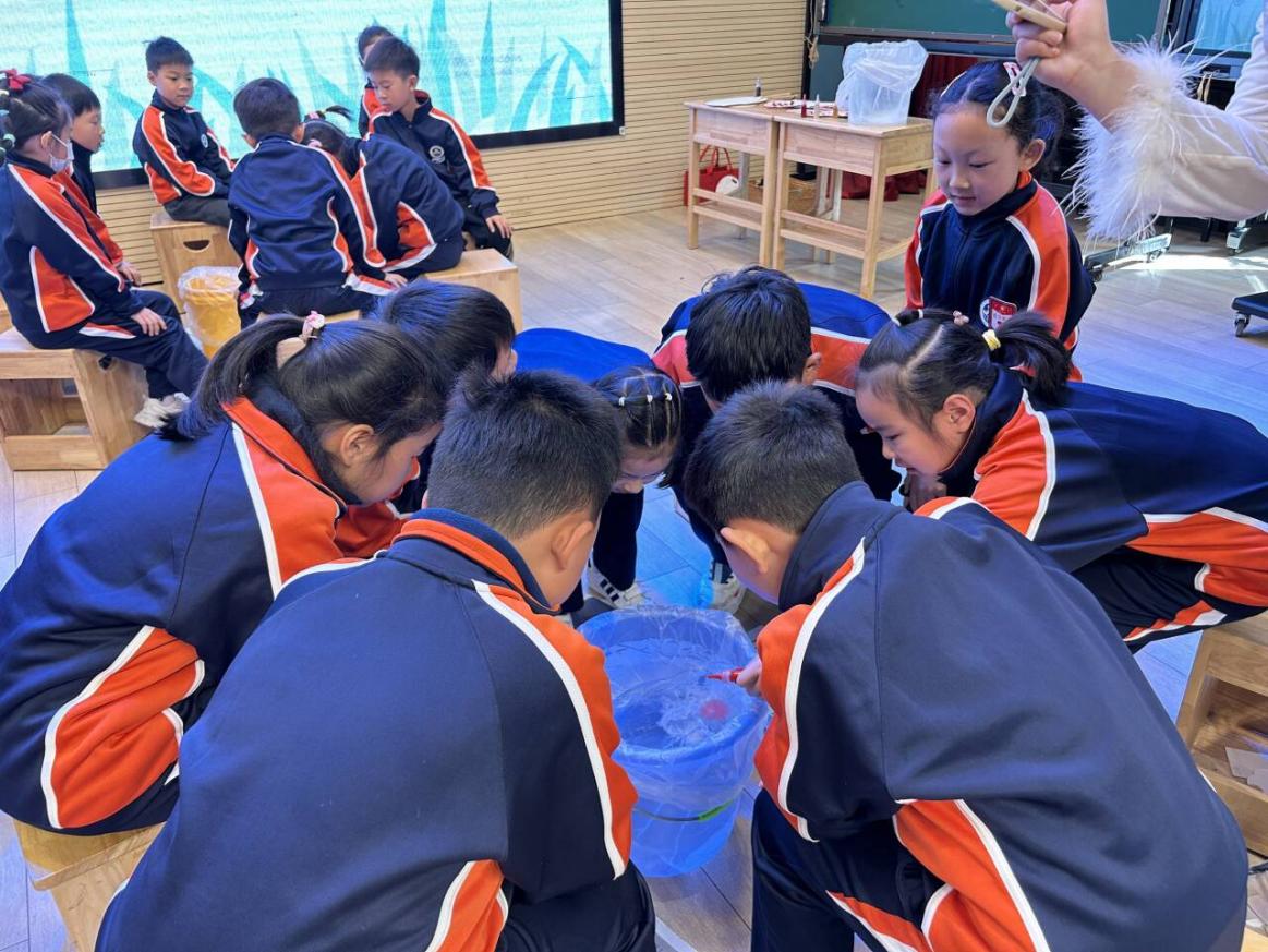 【湖畔·协同育人】幼小有约，衔接成长——金陵小学（仙林湖校区）与幼儿园幼小科学衔接交流活动_html_m4d431470.jpg