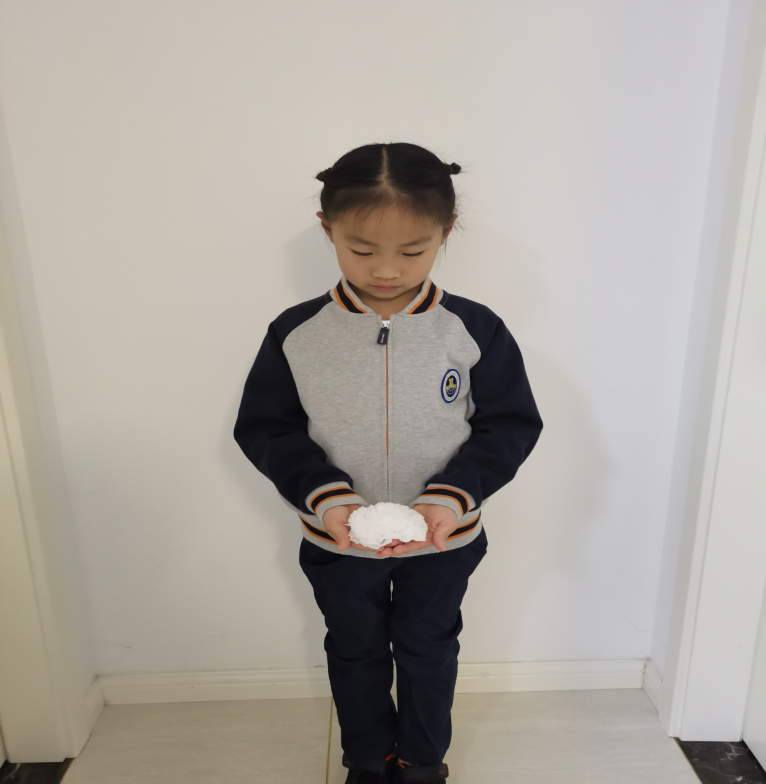 【博学广志】清明云祭扫 丰碑励童心——金陵小学广志路校区清明节云端祭扫活动(1)_html_mf54d252.png