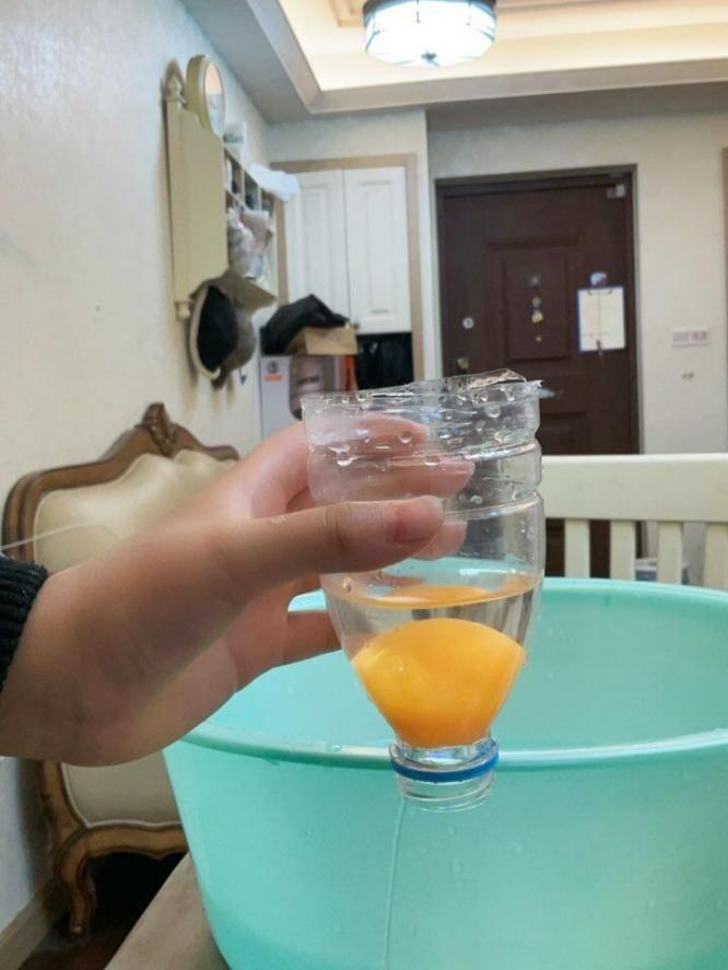 【湖畔光影·线上学习】“艺”样精彩，“疫”散可期——记金陵小学（仙林湖校区）综合学科第四期线上教学_html_13b72064.jpg