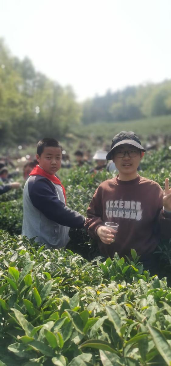 【湖畔·学生活动】走进春天 走进茶香 走进信仰——金陵小学（仙林湖校区）六年级春季综合实践活动_html_62c5855e.jpg