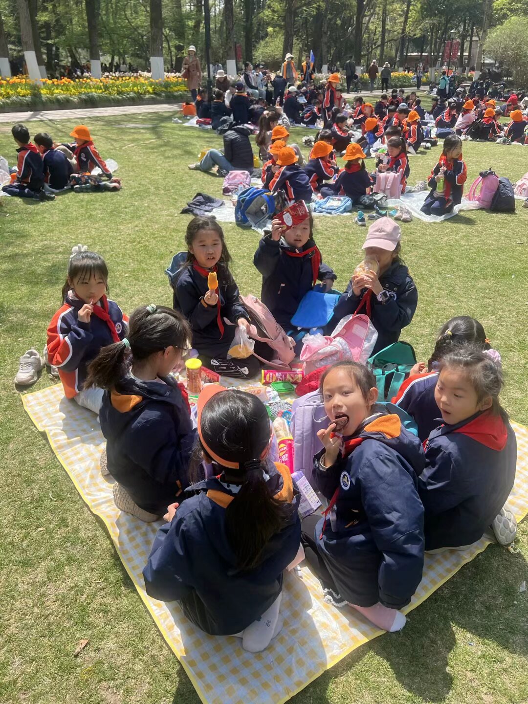 【湖畔·学生活动】童心探秘自然，共绘春日画卷——金陵小学（仙林湖校区）二年级春季综合实践活动_html_m2080ae3f.jpg