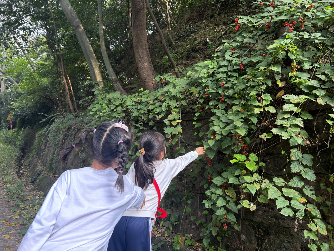 【湖畔·学生活动】向阳而生，逐光而行——金陵小学（仙林湖校区）二年级（1）班亲子登山活动_html_m2f1ec2e9.jpg