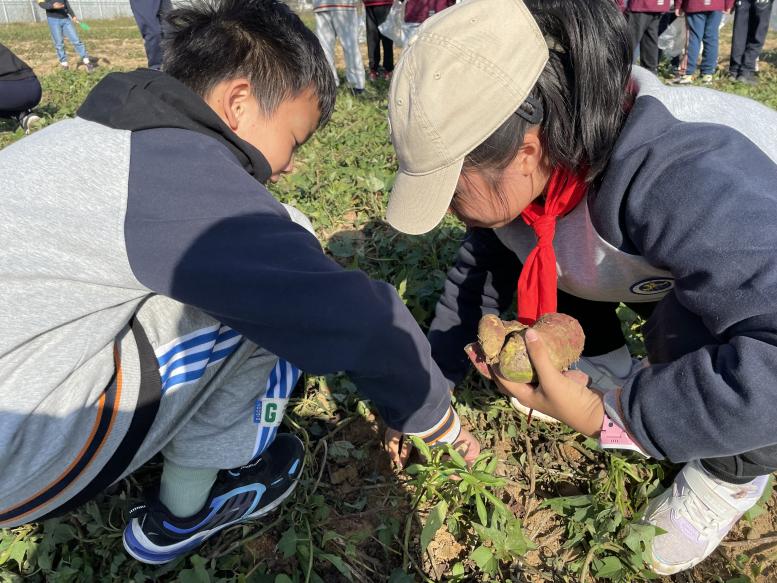 【湖畔·学生活动】探秘农场 劳动“趣”秋游——金陵小学（仙林湖校区）五年级秋季综合实践活动_html_a601af6.jpg