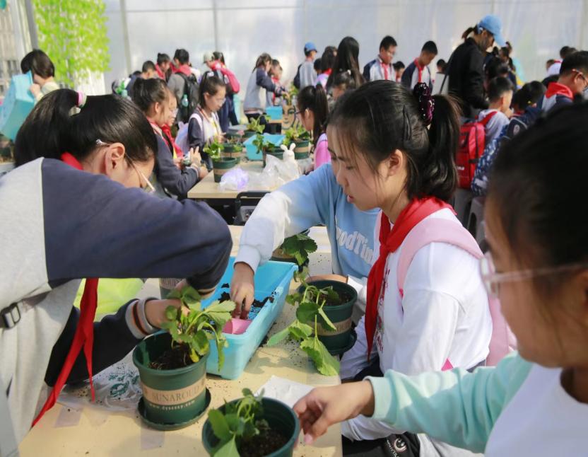 【湖畔·学生活动】探秘农场 劳动“趣”秋游——金陵小学（仙林湖校区）五年级秋季综合实践活动_html_m6c6eaac8.jpg