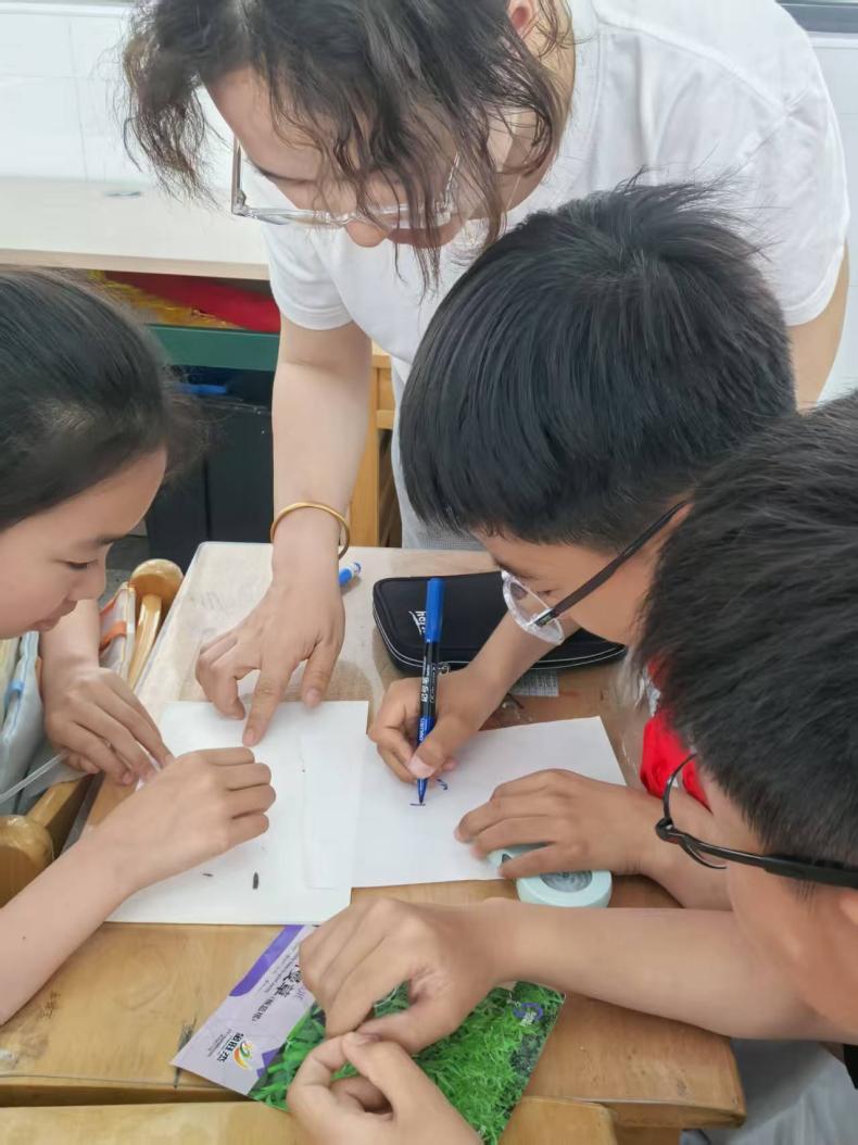 【博学广志】探寻板蓝根的成长密码——南京市金陵小学广志路校区科学组校本主题研修_html_7becbe04.jpg