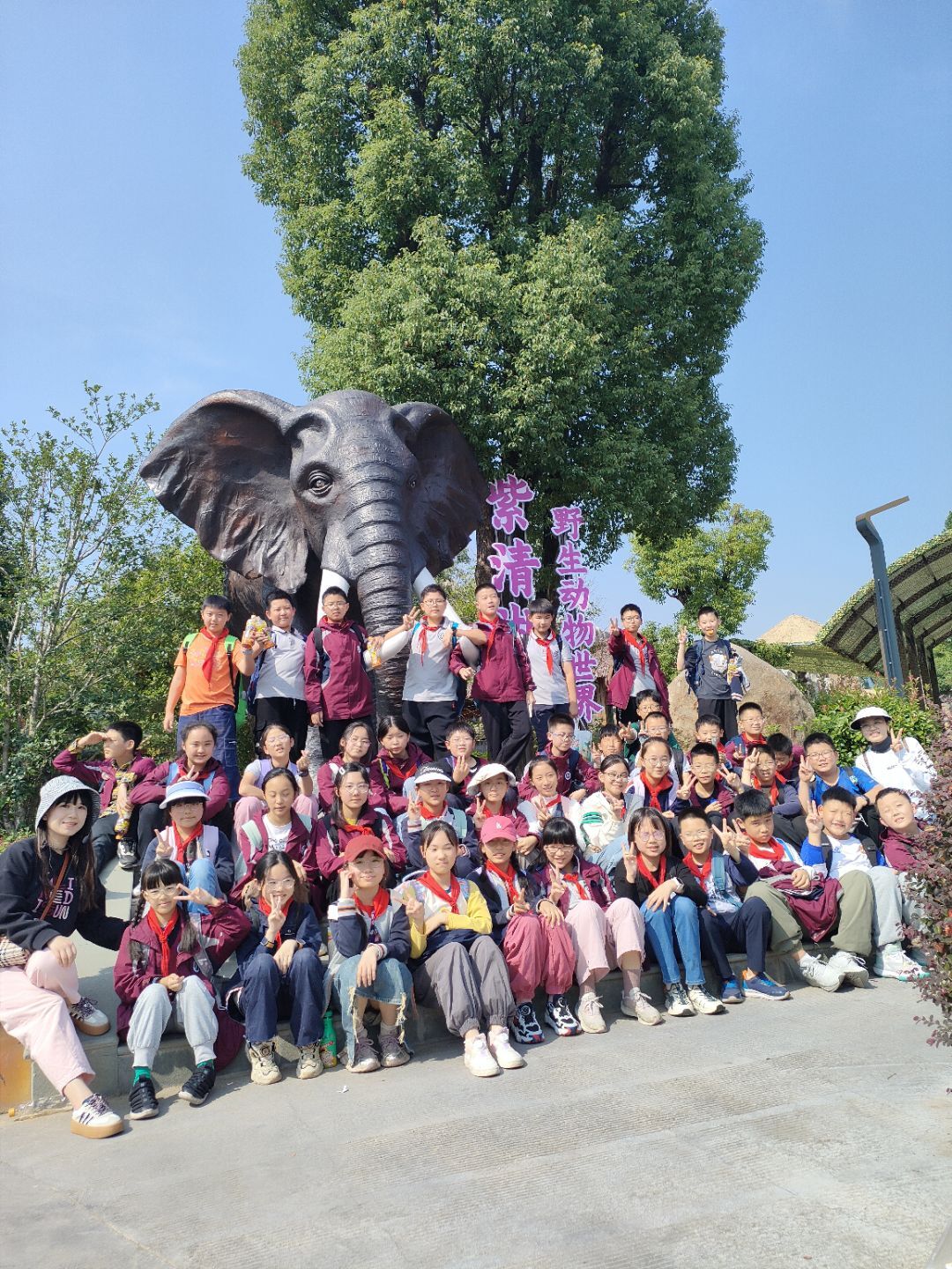 【湖畔•学生活动】秋日拾趣，一路童行金陵小学（仙林湖校区）六年级秋季综合实践活动_html_m71db5a96.jpg