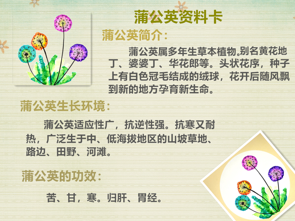 【博学广志】科普筑梦广志路，飞舞旅行蒲公英(1)_html_m711d76ce.png
