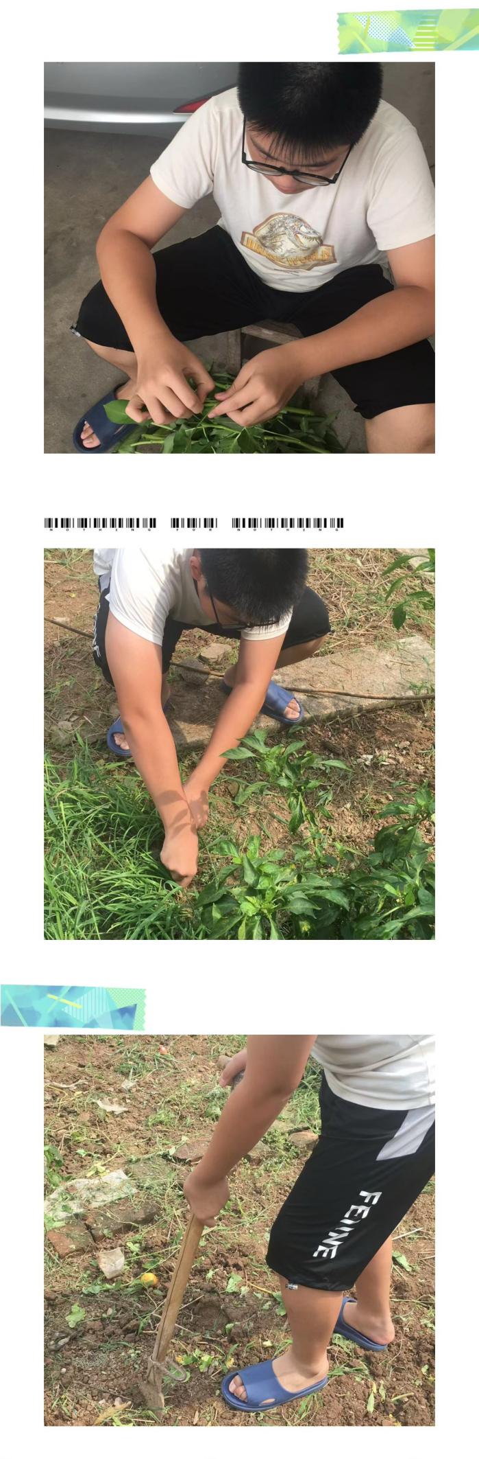 暑期劳动实践活动新闻稿_html_74fc5b0a.jpg