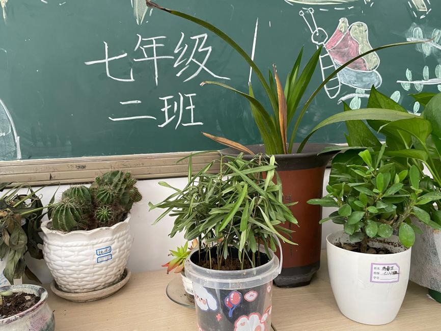 10.11 班级文化建设_html_m559fe5d8.jpg