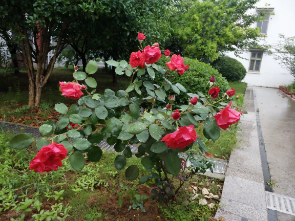 20211人防_html_305c8ece.png