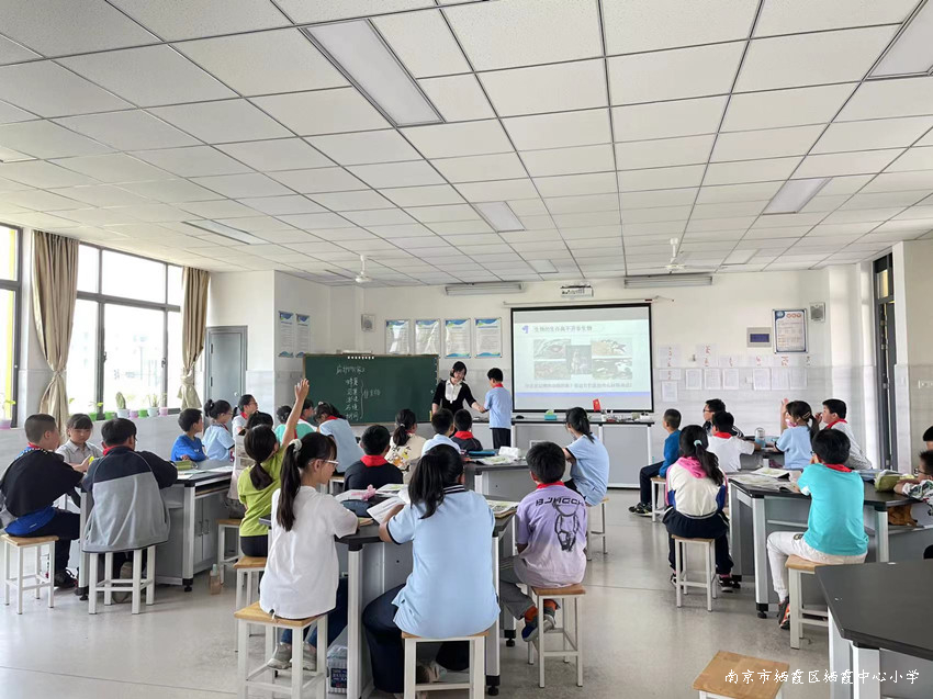 220530石埠桥小学开展科学教研组活动（四）.JPG