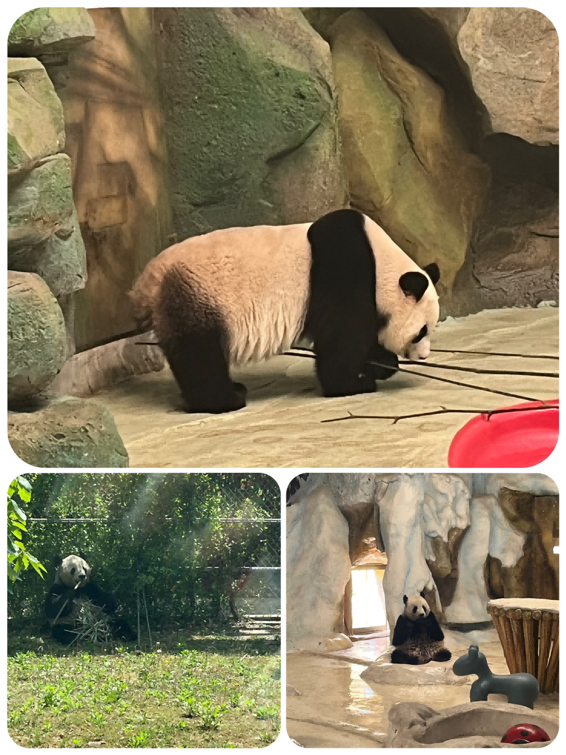 春游紫清湖新闻稿_html_m55da2566.png