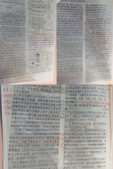 报道1_html_6a6b49b3.jpg