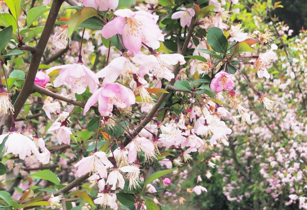 70ZU%CVIO()UQIQ@)%XHCZN.png 70ZU%CVIO()UQIQ@)%XHCZN.png