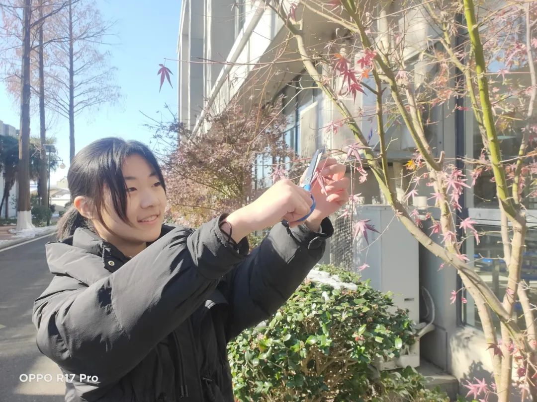 学中玩，玩中学_html_m42a43086.jpg