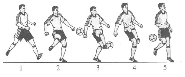 金陵小学校本课程足球教案专项课程_html_m7cdf7523.jpg