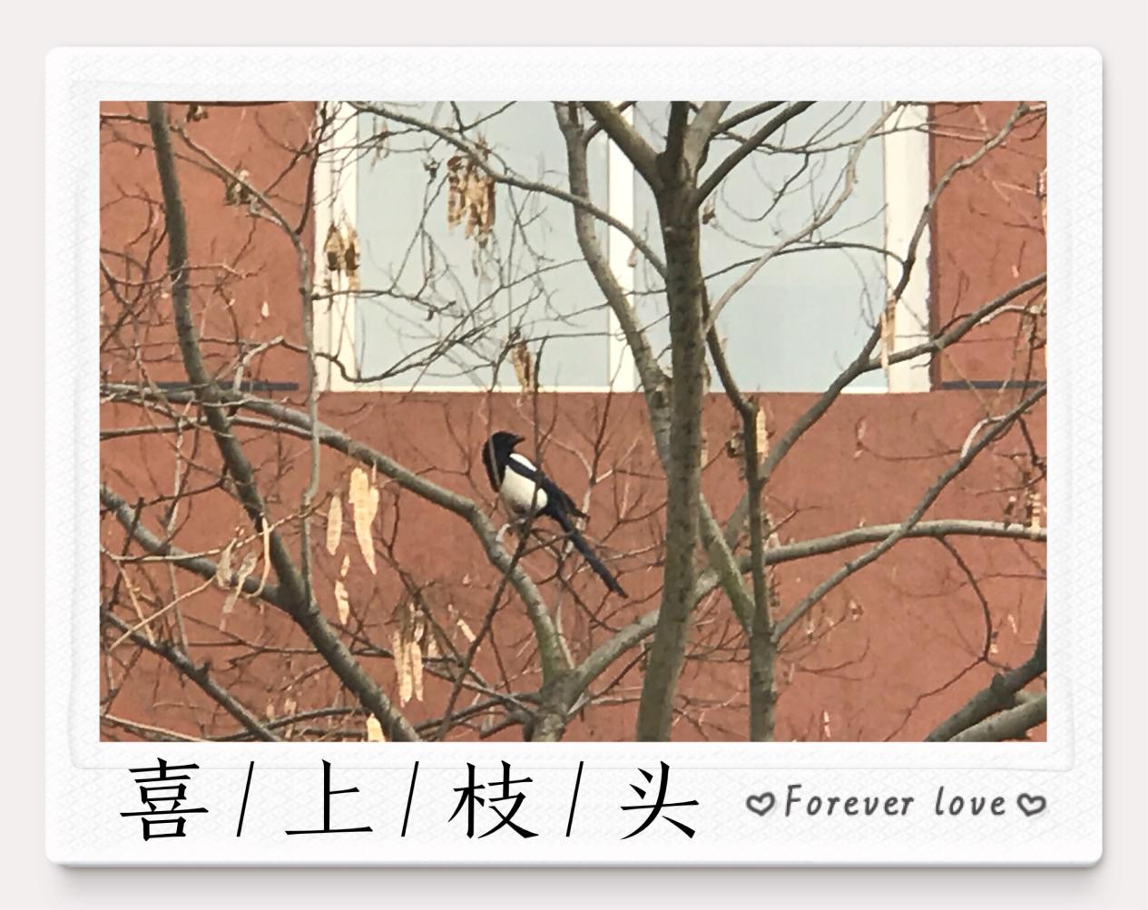 新建 DOCX 文档_html_522a0f9d.jpg