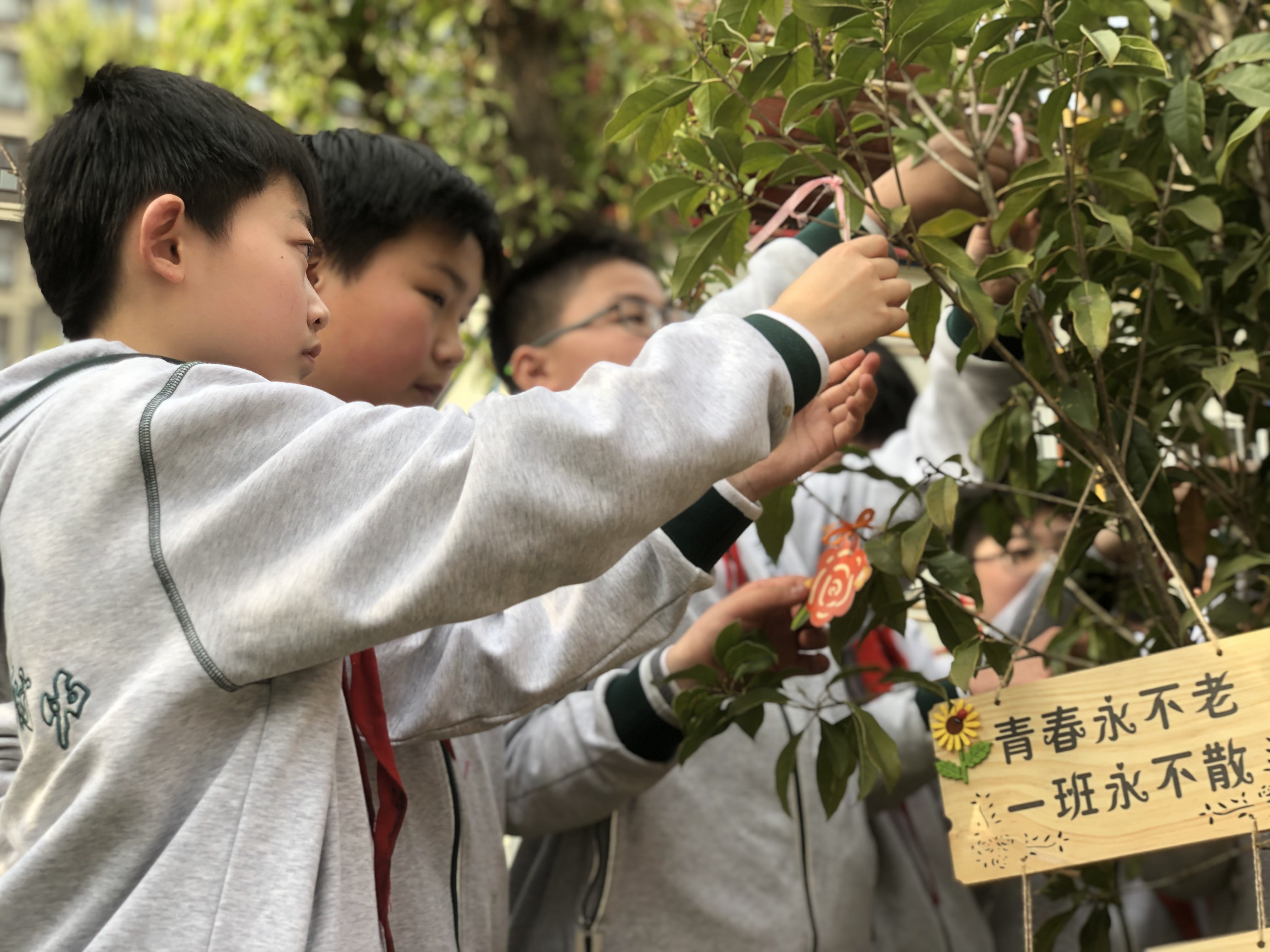 新闻稿_html_2740311e.jpg