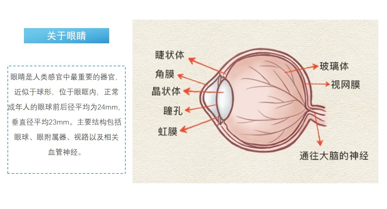 屏幕截图 2023-06-13 113131.jpg