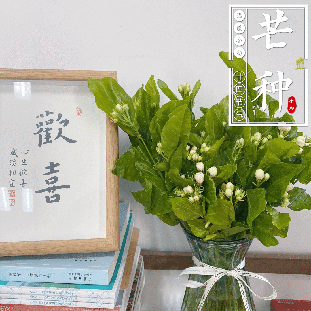 【温暖金初·廿四节气】芒种丨不负每一次耕耘 拥抱每一份收获