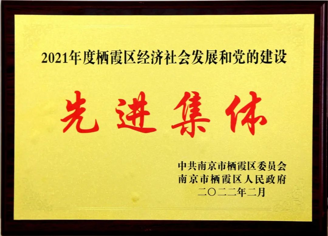 【温暖金初·喜报】热烈祝贺我校获评2021年度栖霞区经济社会发展和党的建设先进集体！