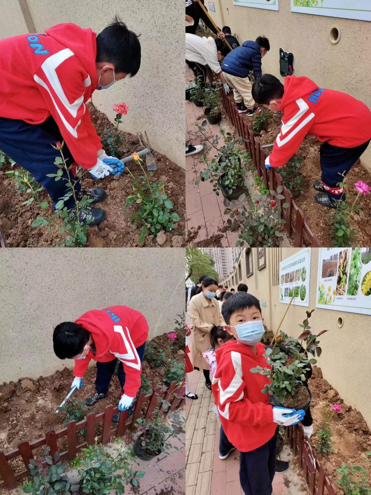 3月14植树添新绿，不负好春光植树节活动报道_html_62c8b16b.jpg