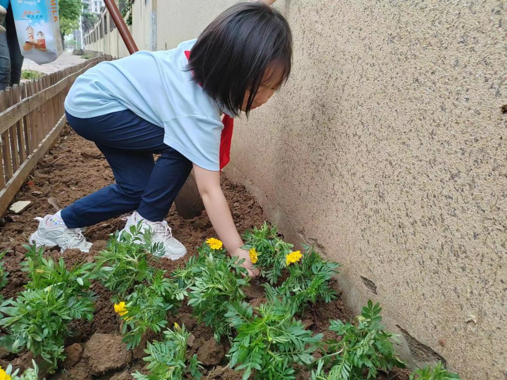 【正学丁三】金秋种梦想，农耕劳动美_html_3161bf27.jpg