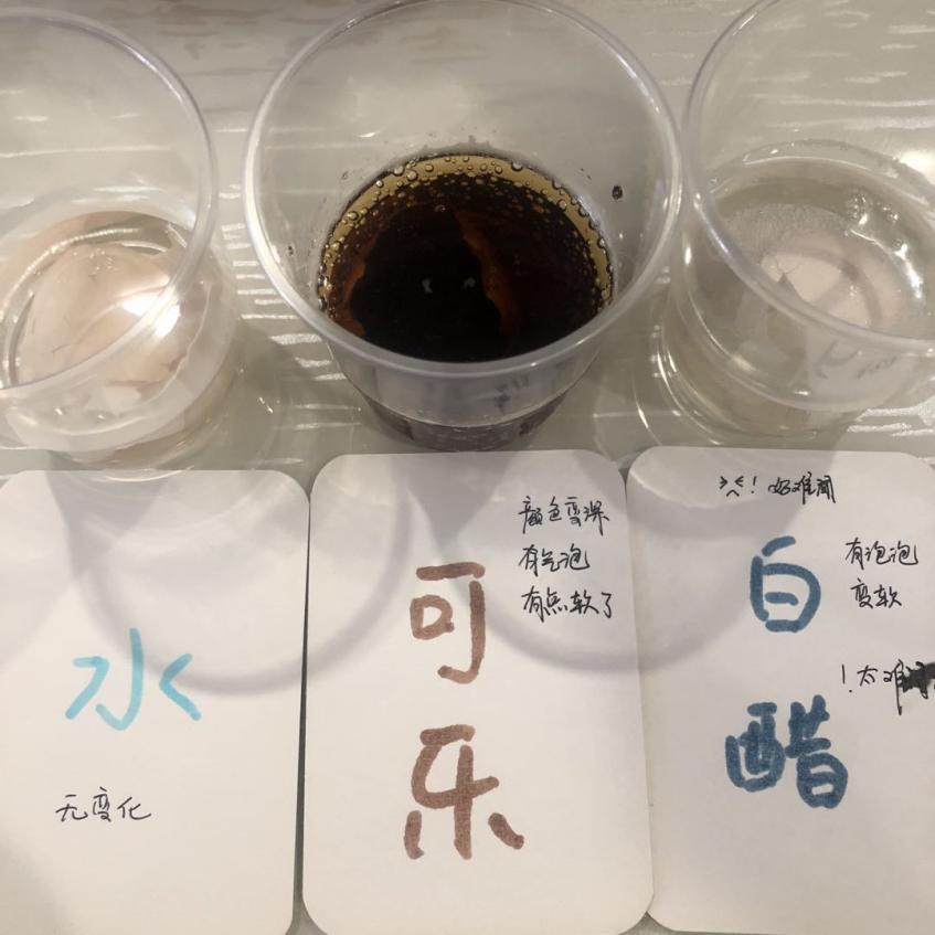 没有牙齿的大老虎新闻稿_html_61be038c.jpg