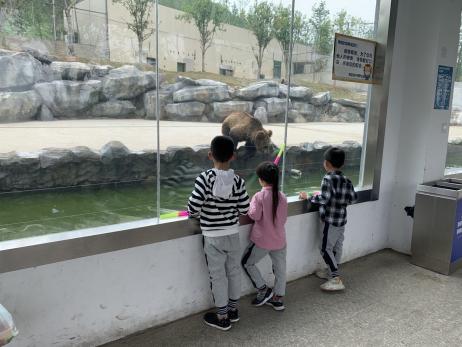 金牛湖春游报道文稿_html_m61c7b97.jpg