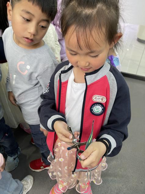 大三班 家长资源_html_6fb78947.jpg